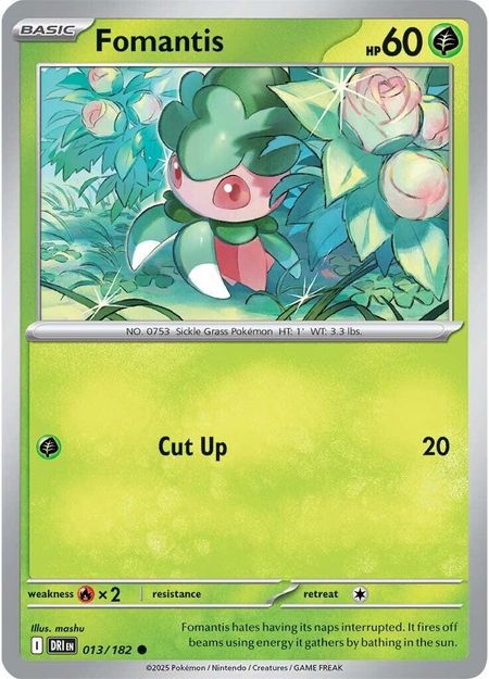 Fomantis (DRI 013)