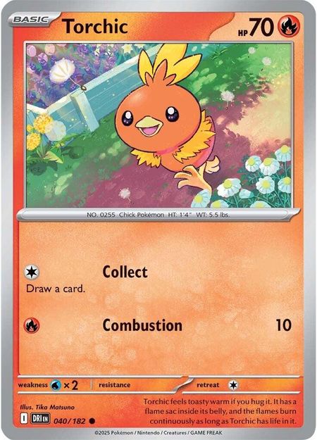 Torchic (DRI 040)