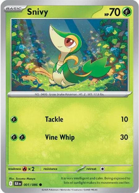 Snivy (BLK 001)