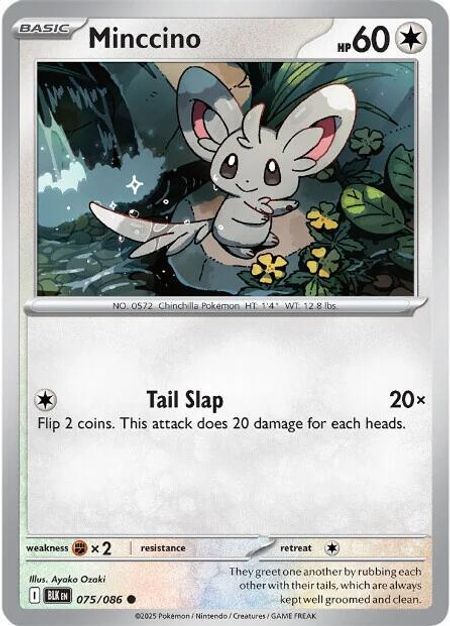 Minccino (BLK 075)